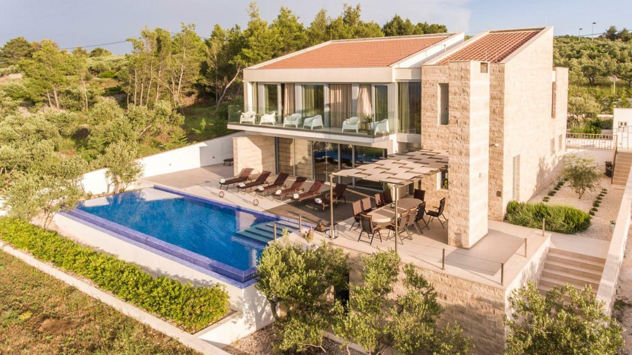 Ana Villa *